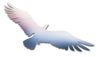 Birds and sky backgrounds with / illustrations