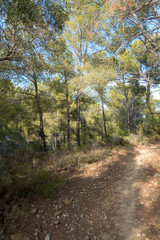 The desert park of Las Palmas in Castellón