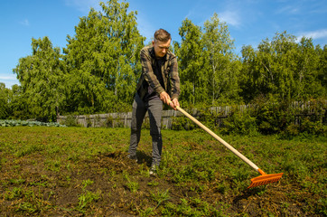 A young gardener in the garden removes the beveled grass with a rake on a wooden fence and forest...