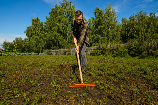 A young gardener in the garden removes the beveled grass with a rake on a wooden fence and forest background.