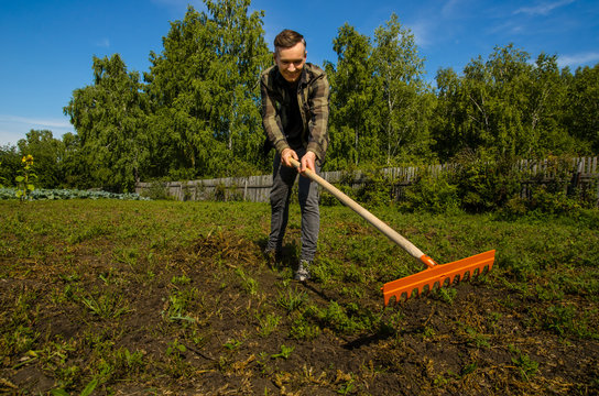 A young guy in the garden removes the beveled grass with a rake on a wooden fence and forest background.