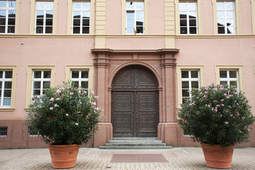 Fototapeta na wymiar Modern classic retro building at Speyer town in Rhineland Palatinate, Germany