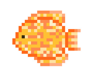Fototapeta premium Yellow Pompadour Fish, pixel art character isolated on white background. Discus icon. Pet shop logo. Oceanarium mascot. Fishkeeping hobby symbol. Old school 8 bit slot machine/video game graphics.