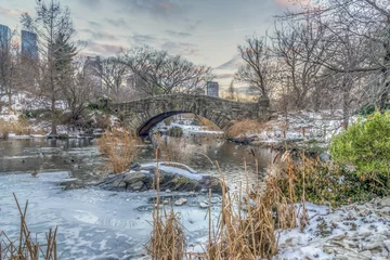 Fototapete Gapstow-Brücke Central Park, New York City in winter