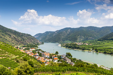 Fototapeta premium Spitz, Austria, View to Danube river from ruins of Hinterhaus castle.