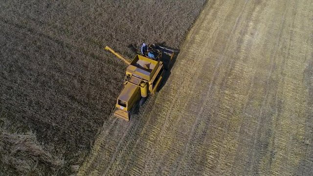Old Combine harvester gathers wheat. Aerial view