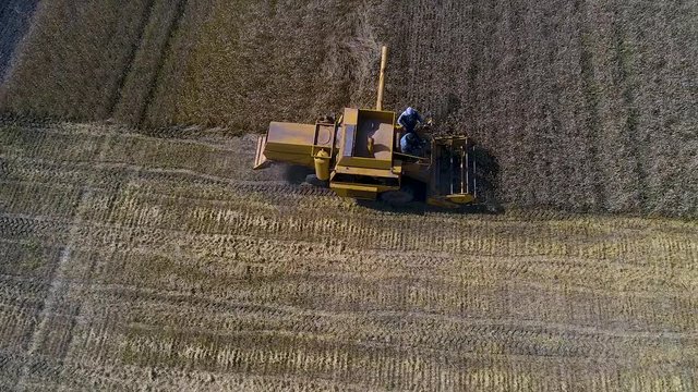 Old Combine harvester gathers wheat. Aerial view