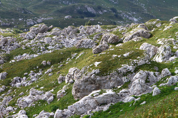 Many big stones on a mountain slope, natural texture photo