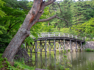 静岡・伊豆】日本庭園の風景