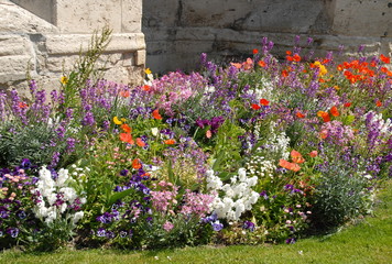 Massif de fleurs multicolores, ville de Vernon, département de l'Eure, Normandie, France