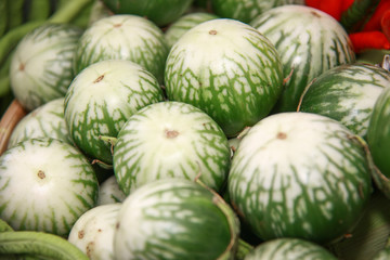 thai eggplant close up
