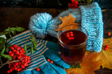Autumn walk concept: hat, gloves, thermos, hot tea and autumn leaves