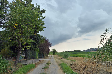 veduta panoramica di alcuni angoli del Monferrato, Piemonte, Italia,