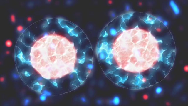 Cell Dividing. Microbiology. 3D Animation.