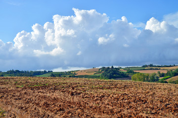 veduta panoramica di alcuni angoli del Monferrato, Piemonte, Italia