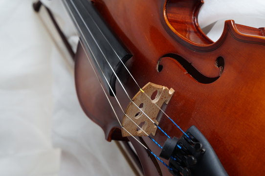 Violine