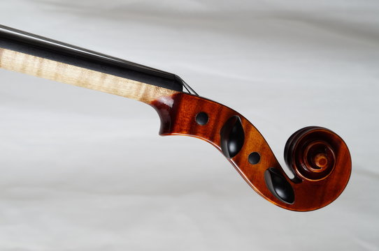 Schnecke einer Violine