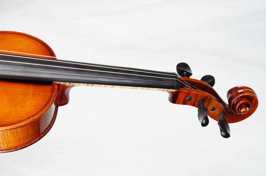 Schnecke einer Violine
