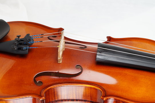 Violine