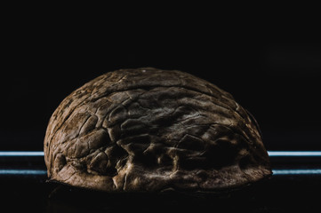 peanut shell