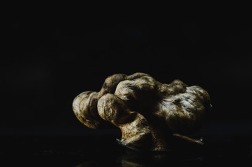 peanut inside closeup