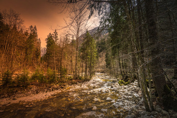 road in the forest