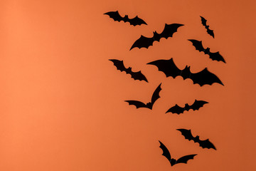 Halloween holiday minimal top view of bats on orange background. Halloween minimal concept.