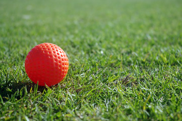 Red Golf Ball on a green grass background