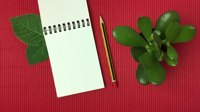 Libreta peque&ntilde;a, una mano pasa las paginas, sobre un fondo rojo.