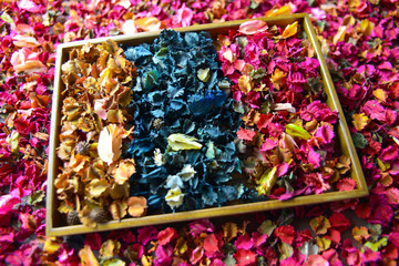 Colorful petal of dried flowers potpourri background.
