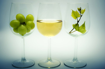 Three glass with wine, grapes and leaf like wine concept 