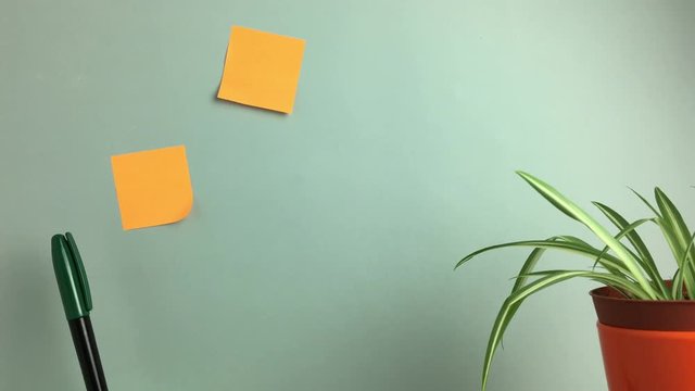 Notas aparecen en la pared junto a una planta.