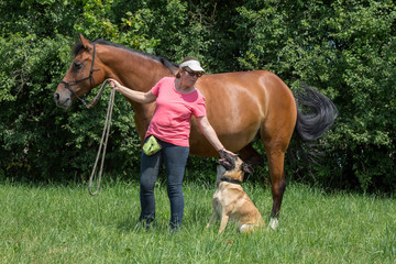 Pferd und Hund mit Besitzerin