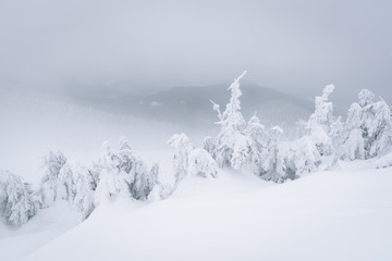 Fantastic winter landscape with snowy trees. Carpathian mountains, Ukraine, Europe. Christmas holiday concept