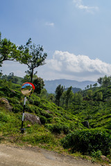 tea plantagen in sri lanka