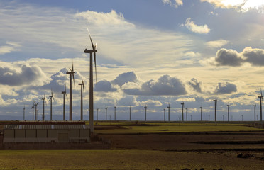 Campo de turbinas e&oacute;licas