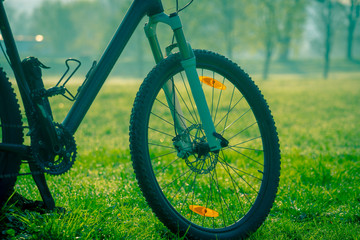 Fototapeta na wymiar Bicycle wheel in the autumn forest.