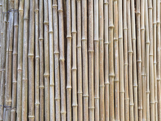Bamboo fench background
