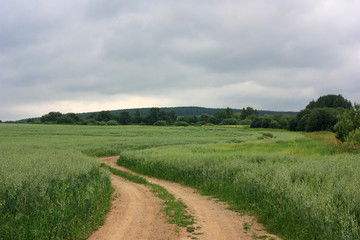 Fototapeta na wymiar A deserted country road in the field