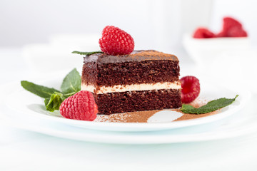 Chocolate cake with raspberry and mint.