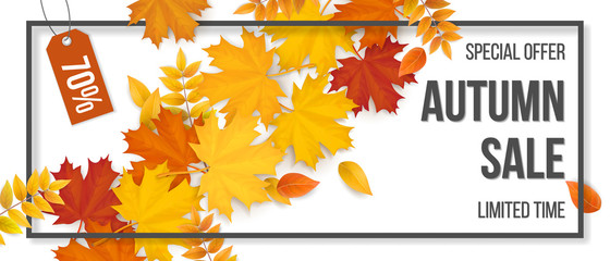 Autumn sale. Fallen maple leaves, frame and typographics. Background for invitation, discount offer or flyer. Realistic detailed vector template.