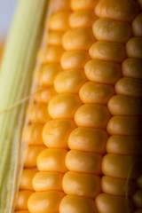 Close up shot Fresh ripe and peeled sweet corn with water drop high vitamin nature food select focus shallow depth of field