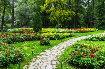 St. Petersburg. City Park on Yelagin Island in early autumn. The path between bright flower beds with decorative yellow and red dahlias in a quiet warm afternoon