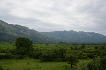 Naklejka premium Dunave Krajnje, Dubrovnik-Neretva, Kroatien