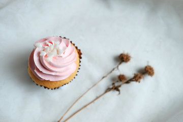 Cupcake and dry Marguerite Daisy flowers on white Tablecloth. Copy Space