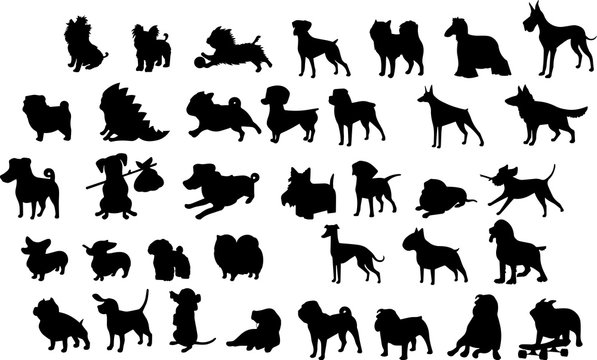 163 381 最適な 犬シルエット 画像 ストック写真 ベクター Adobe Stock 163 381 最適な 犬シルエット 画像 ストック写真 ベクター Adobe Stock