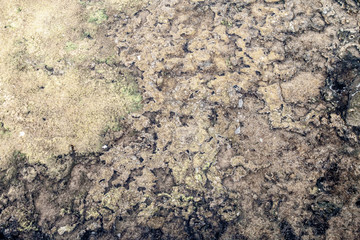 Colorful natural textured pattern