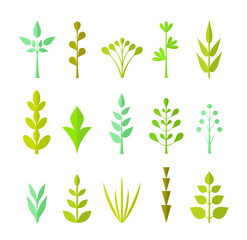 Various herbs and shrubs in a flat style. Vector plant icons. A set of elements for creating city maps.