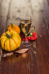 autumn still life with pumpkin and wine
