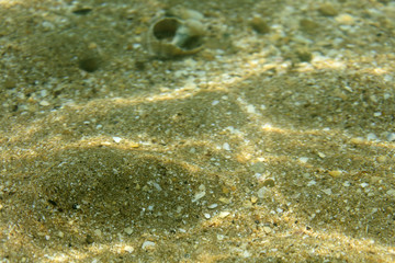 seabed, underwater photography
